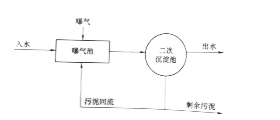 活性污泥.jpg